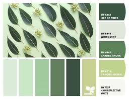Paint colour review sherwin williams accessible beige food for thought… accessible beige is really happy with most wood tones (it told me so); Paint Colors From Colorsnap By Sherwin Williams Green Colour Palette Color Schemes Colour Palettes Sherwin Williams Color Schemes