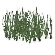 Sago Water Grass Z Studio Zt2 Download Library Wiki Fandom