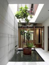 Internal Courtyard Or An Airwell Typical To Most Shophouses In Singapore Courtyard Design Courtyard Gardens Design Indoor Courtyard