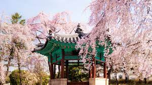 But how much do we really know about what goes on in that country? A Local S Guide To Seoul South Korea Conde Nast Traveler