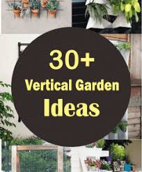 Most vegetables prefer a minimum of 6 hours of sun. 30 Diy Vertical Garden Design Ideas For Your Home