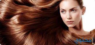 تفسير حلم الشعر الطويل في المنام 2020 معنى رؤية الشعر الطويل موقع محتوى