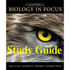 Test answers on biology \ ap biology chapter 6 guided reading. Ap Biology Schedule