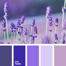 We did not find results for: Color Palette 2234 Color Palette Purple Color Palettes Color Balance