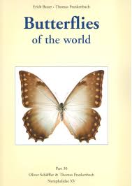 Hören, was der körper bra. Butterflies Of The World 30 Nymphalidae 15 Morpho 1 By Schaeffler O Frankenbach T
