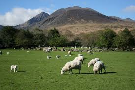 Vicces képek alkohol alszik apa autó baba bicikli cica cicák csaj csajok dagadt emberek fej fiú fotó férfi gyerek gyerekek humoros humoros kép ház jelmez kerékpár kisgyerek kocsi. Irorszag Teteje A Carrauntoohil Csamborgo