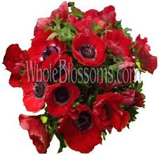 How to buy buying bulk flowers? Www Wholeblossoms Com Is One Of The Finest Places Online Where You Can Get Anemone Flower In Bulk Without Having Anemone Flower Red Anemone Red Wedding Flowers
