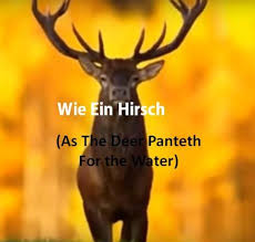 A contemplation by the sons of korah. As The Deer Panteth German Version Lyrics Video