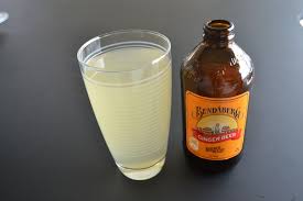 Protected Blog Log In Ginger Beer Gluten Free Yeast Free Smoothies