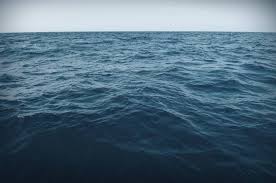 See more ideas about sea creatures, ocean creatures, scary ocean. Es Ist Extrem Wahrscheinlich Dass Du Angst Vorm Offenen Meer Hast Scary Ocean Ocean At Night Ocean Pictures