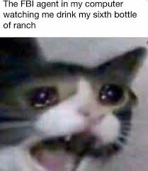 Never Bite The Hand That Feeds You Memes 34 Memes That Never Stop Being Funny Funny Animal Memes Animal Memes Funny Pictures