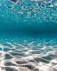 Bottom Of The Ocean Underwater Wallpaper Underwater Photography Ocean Ocean Wallpaper