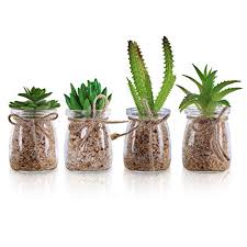 Maybe you would like to learn more about one of these? Piante Finte Interno 4pz Piante Grasse Finte Verdi Vaso Vetr