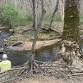 Savor the Stream: A Sensory Experience