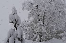 See more of tempête on facebook. Italie Une Tempete De Neige Historique Sports Infos Ski Biathlon