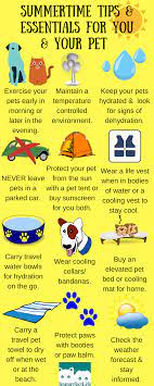 Sponsored Summertime Essentials Pets Petsafety Dog Care Tips Dog Health Tips Pet Hacks
