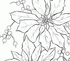 Download this running horse printable to entertain your child. 1000 Images About Poinsettia On Pinterest Coloring Library