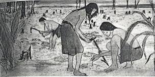 Histories Of The Sawkill Through Human Impacts
