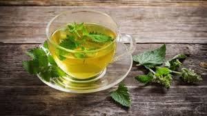 52 डिग्री पहुंचा पारा, गर्मी से बचने के लिए पिएं पुदीने की चाय; ठंडक से  पाचन तक मिलेंगे कई फायदे | Republic Bharat