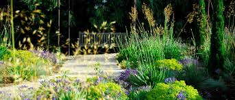 Michael Mccoy The Dreamy Gardener The Planthunter Plants Landscape Design Outdoor Inspirations