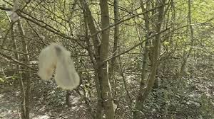 Tayo Ricci porno gay porn videos - VR XXX 2025 immersive experience