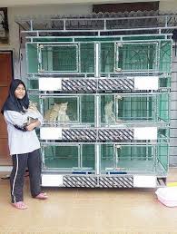 Diy outdoor cat enclosure or catio. How To Build A Catio With Pvc Pipe Arxiusarquitectura