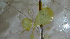 We did not find results for: Why Is My Cat Vomiting Yellow Causes And Treatment