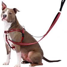2 Hounds Reflective Freedom No Pull Harness