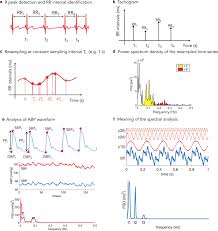 The Autonomic Nervous System In Septic Shock And Its Role As A Future Therapeutic Target A Narrative Review Annals Of Intensive Care Full Text