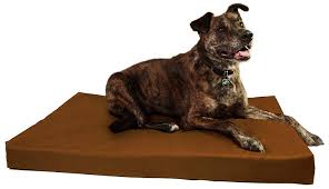 Harmony cuddler orthopedic dog bed. What Are The Best Dog Beds For Crates Bark