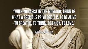 Whenyou Arise Marcus Aurelius Quotes Quotesgram