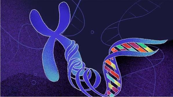 Image for Genetics & Genomics