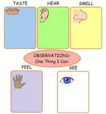 Five Sense Worksheet New 574 Five Senses Preschool Pinterest