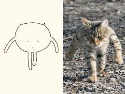 Pin On Animals Animaux