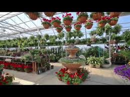 Wardens flowers bowling green ky. Bremec Rock Garden Youtube