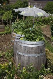 Mein Schones Land Saisonale Rezepte Gartentipps Kreativideen Idyllische Regionen Und Vieles Mehr Entdecken Sie Mit Uns Die Schonsten Seiten Des Landleben Garten Garten Und Outdoor Garten Deko