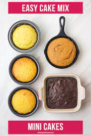 Mini Cakes For Two Recipe Mini Cakes Toaster Oven Recipes Delicious Desserts