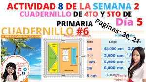 7) describe la reproducción sexual y pon un ejemplo de organismos que se reproduzcan así. Oxpguvcfu0v Im