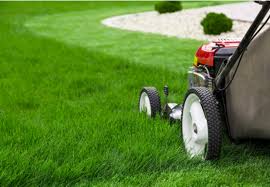 Lawn fertilizer companies near you. Top 10 Outdoors Services Near Me Talk To Bruno In Miami