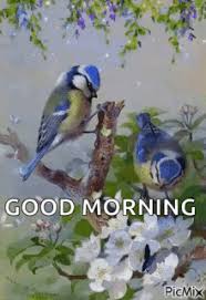 Check spelling or type a new query. Morning Birds Gifs Tenor