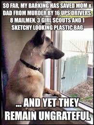 Happy national love your pet day! Happy National Love Your Pet Day Album On Imgur