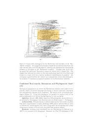 Image result for Hyparrhenia subplumosa