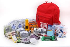 Image result for Emergency Car Kit