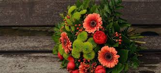 Flowers for men's birthday uk. The 5 Best Flowers To Give Older People This Christmas Lifeline24