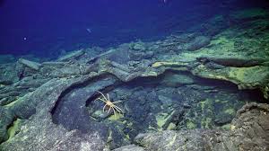Pacific's Axial Seamount heats up, scientists brace for potential eruption