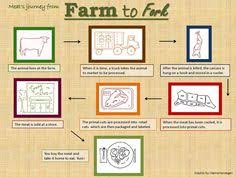 15 Best Farm To Table Images Farm Lessons From Farm To