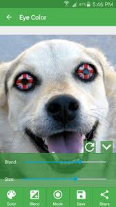 • many realistic and natural eye colors to choose from. Niceeyes Eye Color Changer Apk Descargar App Gratis Para Android