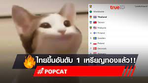 Popcat เป็น เกม popcat click จากมีม แมวเหมียวสีขาว 1 ตัว ที่ชื่อว่า oatmeal ตัวเกมออกแบบมาให้เล่นง่ายสุดๆ ผู้เล่นมีหน้าที่เดียวก็คือ คลิกรัวๆๆๆๆๆๆ. Bjkcyx4u8eewom