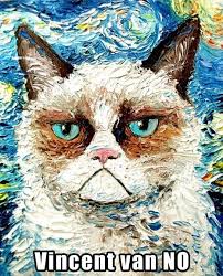 Lol Vincent Van No Grumpy Cat Meme Grumpy Cat Crazy Cats Cat Meeting