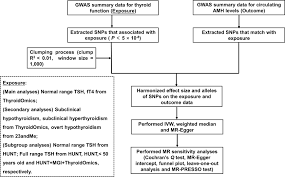 Image result for Thyroid Function Summary
